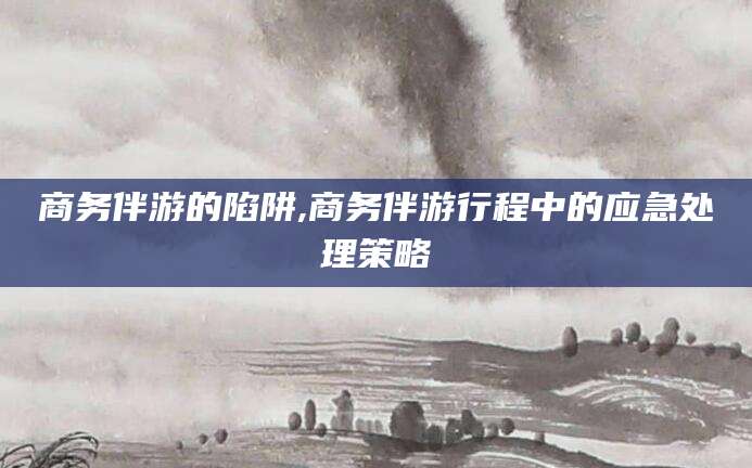 宁津商务伴游的陷阱,商务伴游行程中的应急处理策略
